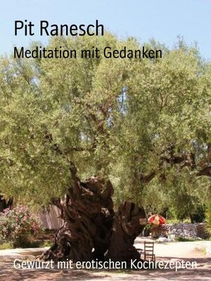 cover image of Meditation mit Gedanken